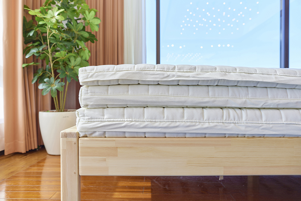 Bodydoctor アドヴァンス（アウトレット）