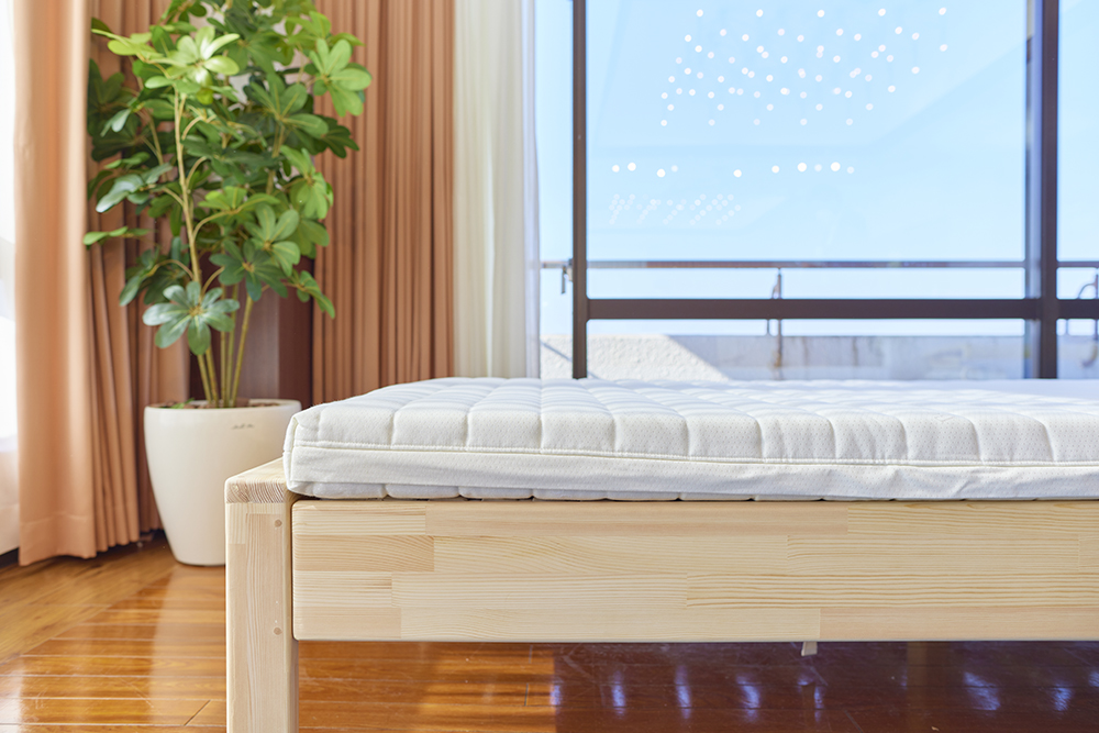 Bodydoctor レギュラー（アウトレット）